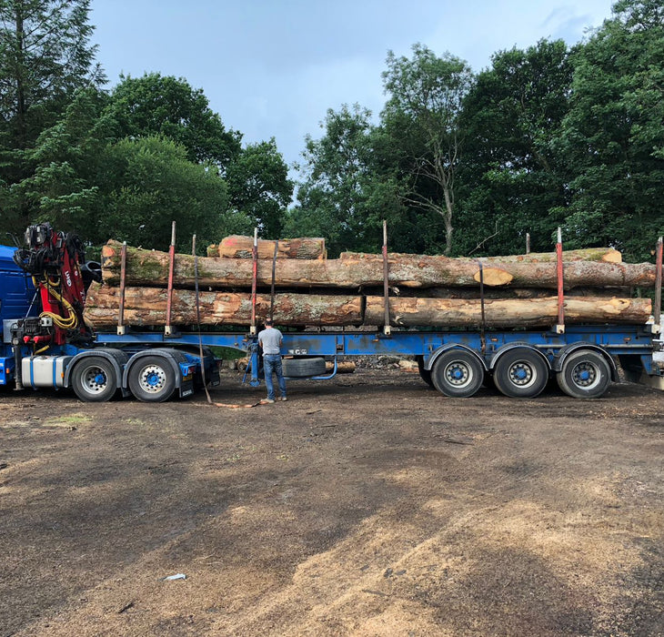 transporting logs