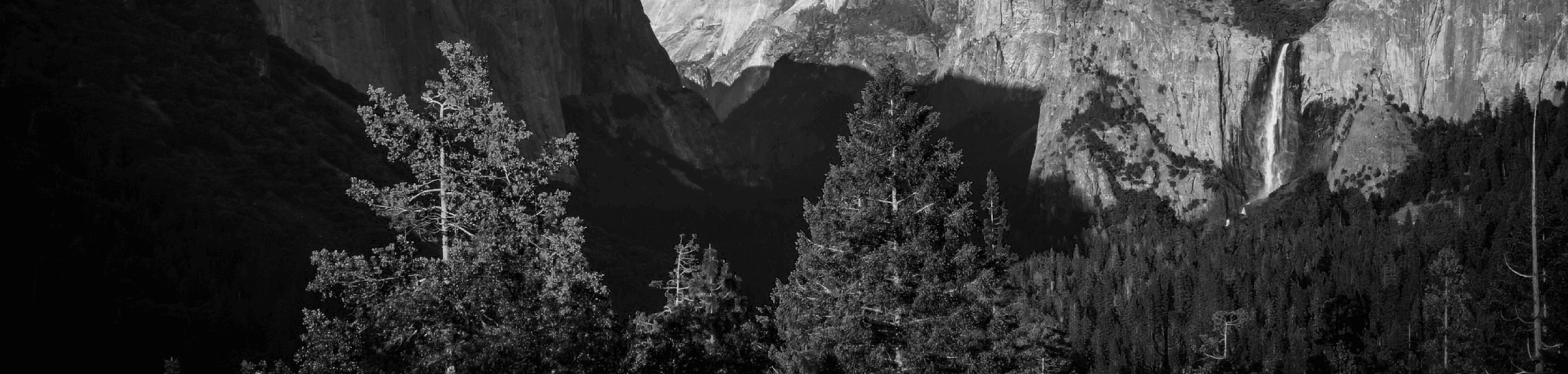 Eco New Page Traditional Beams