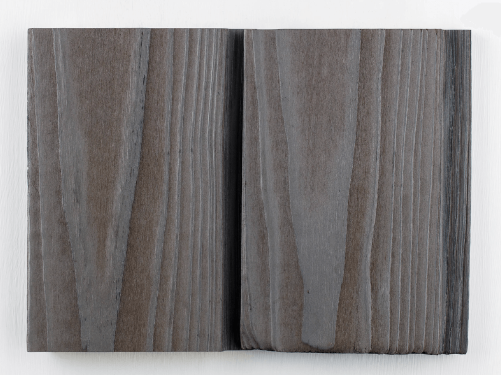 Charred Wood Cladding - Light Grey Larch
